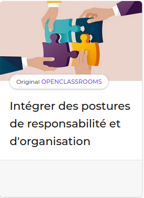 integrerDesposturesDeResponsabiliteEtDorganisation