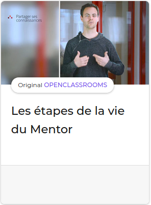 lesEtapesDeLaVieDuMentor