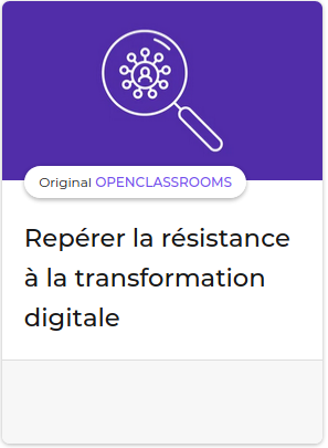 repererLaResistanceALaTransormationDigitale